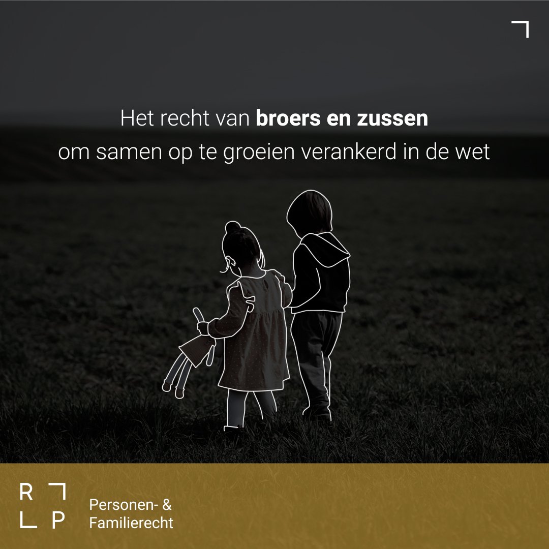 Reyns Advocaten, Advocatenkantoor, advocaat antwerpen, advocaten, familirecht